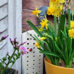 Un bee hotel su un balcone torinese - Foto p.g.c. progetto UrbanBEE